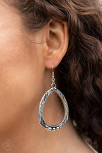 Load image into Gallery viewer, Terra Topography - Silver - February 2021 Paparazzi Fashion Fix Earring
